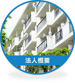 法人概要